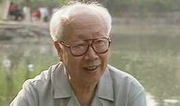 ###